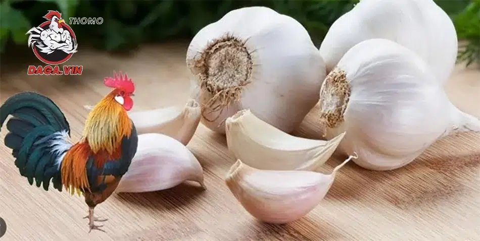 Sử dụng các bài thuốc dân gian