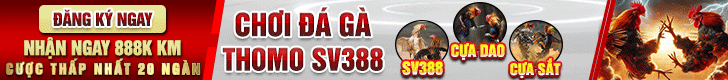 banner-da-ga
