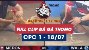 Full Video phát lại Trực tiếp đá gà Thomo ngày 18/07/2024