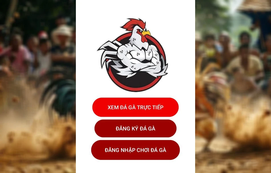Tải App Đá Gà Trực Tiếp - Cách Cài Đặt Và Dùng Ứng Dụng 5 Kiểm tra lại kết nối mạng